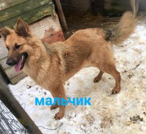 ОБНИНСК!!КАЛУЖСКАЯ ОБЛАСТЬ!!