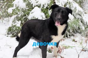 ОБНИНСК!!КАЛУЖСКАЯ ОБЛАСТЬ!!