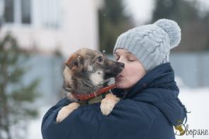 Молодая собака Кокотка в добрые руки