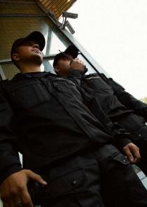 ������ ������ ���������