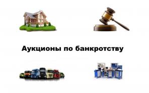 Инвестиции в Торги по Банкротству