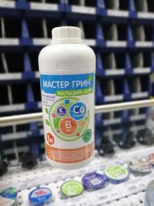 Мастер Грин Са