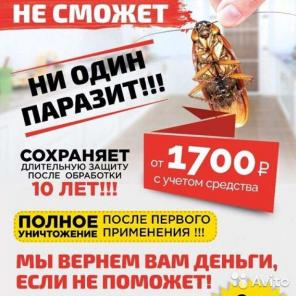 Дезинфекция от вирусов и тараканов