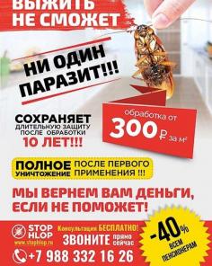 Обработка от тараканов, насекомых и грызунов.
