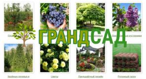 Питомник саженцев, растений и деревьев «ГрандСад»