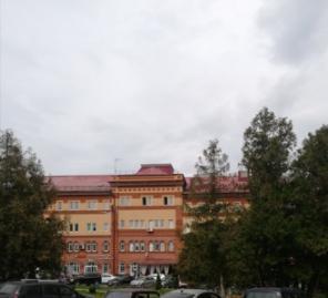 Перевод в Подольске