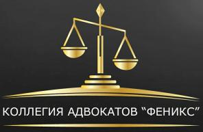 Профессиональная правовая защита