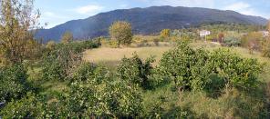 Ищем инвестора для совместного бизнеса