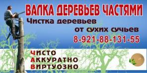 ВАЛКА ДЕРЕВЬЕВ 8 (921) 88-131-55