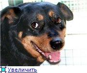 Раиса Захаровна собственной персоной)Знакомьтесь)