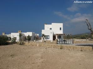 �������� ����- ������������