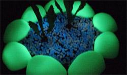 ����� ���������� � ������� !