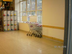 ������ ���������