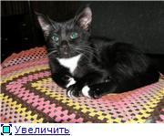 Его Величество Маркиз!