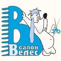 Стрижка йорка. ЮАО. Зоосалон Велес.