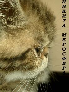 Экзотическая кошечка Никита