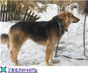 Сандра-нуждается в хозяине.