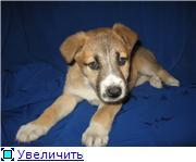 Зося-славная малышка ищет заботливые ручки.