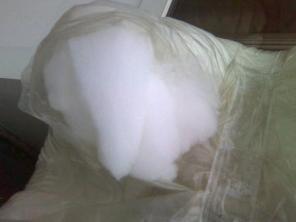 ����� ������, ������� ��������� � ��������