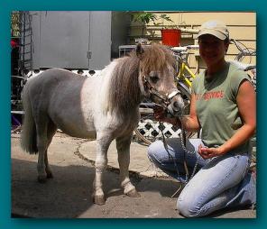 ���� �������