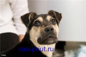 Тима. Я стану самым верным другом.