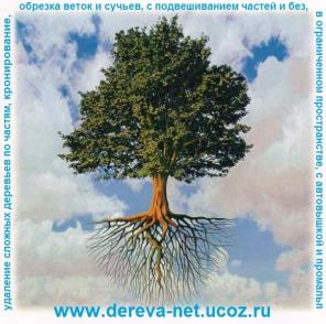Спилить дерево по частям, обрезка веток.