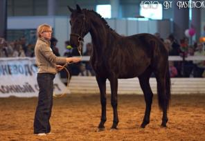 ������ ���������� ������ ���������� � ����