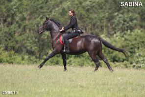 ��������� ��������� ������ ������