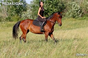 ��������� ������: ������ ���������