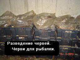 �������������� �����, �������������� ����� ����