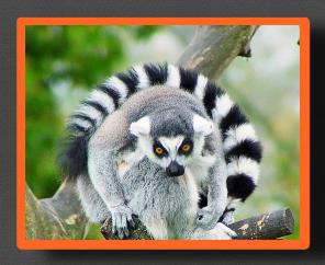 �������, ��������, �����, �������, �������� ������