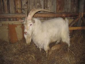 �������! ������� �����.