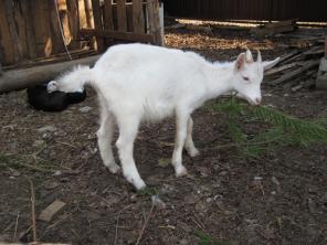 �������! ������� �����.