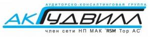 Аудиторско - консалтинговая группа «Гудвилл»