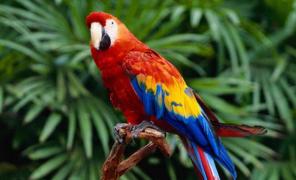 ����� � ���