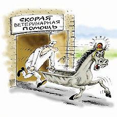 Вакцинация, чипирование на дому. Акция.