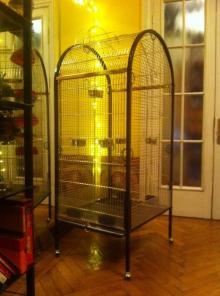 ������ Gabber