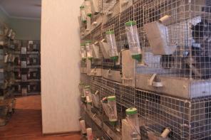 ����������� ����� ���������� � ��������������