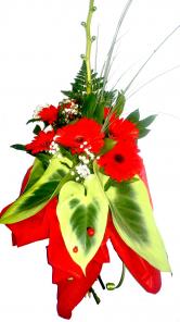 Цветочный магазин Магия цветов-Доставка букета цветов по Волгограду