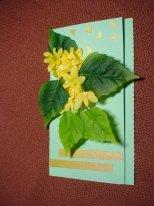 ������ ����� ��������