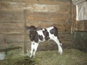 ����� ��������� ��������-�������� ������