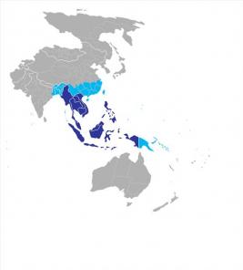 ����������� ������ � ���-��������� ����. (�������, ����, ��������)