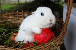 �������� ��������� ��������� �������� � �������