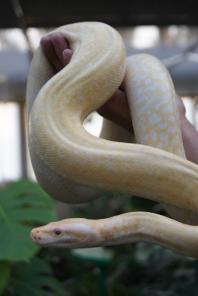 ������ �������� � ������