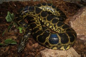 ������ �������� � ������