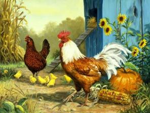 ������ ���� ����� � �������