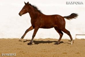 ��������� ������� ������� 2012 �.�.