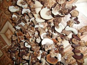 ������ ����� ����� ����� � �������.