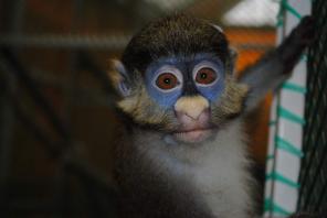 �� ������