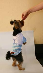 ��������� � �����, �������, ������� ���� ����� �������.